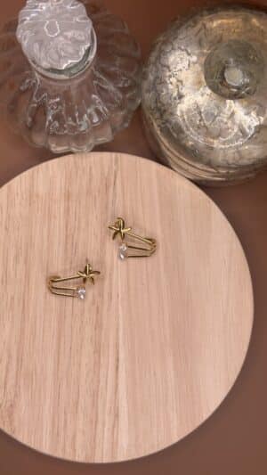 Boucles d’Oreilles Aurelien