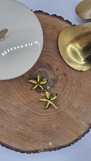 Boucles d&rsquo;Oreilles Asté Jaune